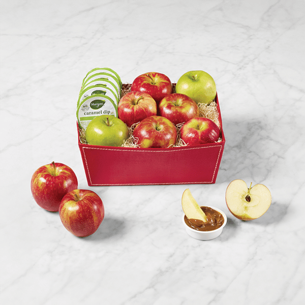 IGIN APPLEGIN ホリデースペシャルlEdition　BOX　レッド IGIN APPLE GIN Holiday Special Edition BOX – IGIN TOKYO