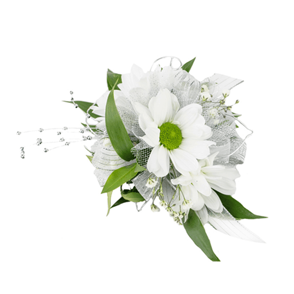 Daisy Corsage | Hy-Vee Aisles Online Grocery Shopping
