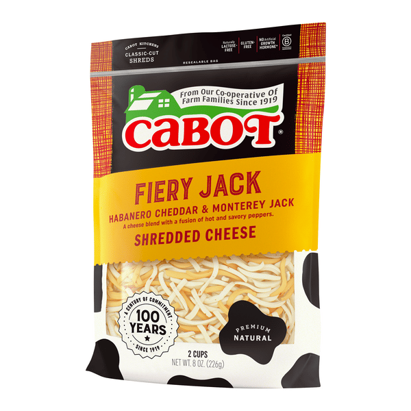 しょーきちページ トリックスター / Ninja ZX-4R SE/4RR（24-26）政府認証ダウンフル