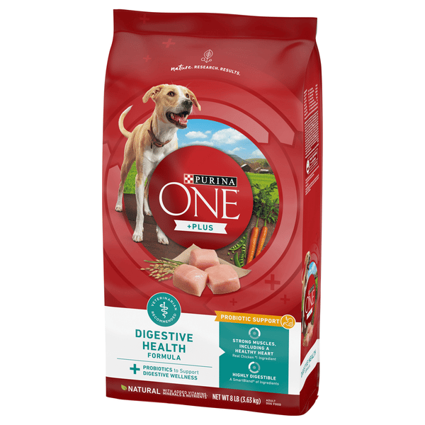 Purina One Smart Blend Digestive Health Formula Dry Dog Food | Hy