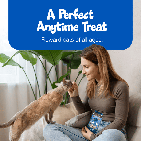 Blue Buffalo Bursts Crunchy Cat Treats, Chicken | Hy-Vee Aisles