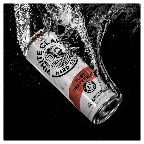 特大株　グレートホワイトシャーク　仔株3芽付 特大株 グレートホワイトシャーク 仔株3芽付 特大株 グレートホワイト