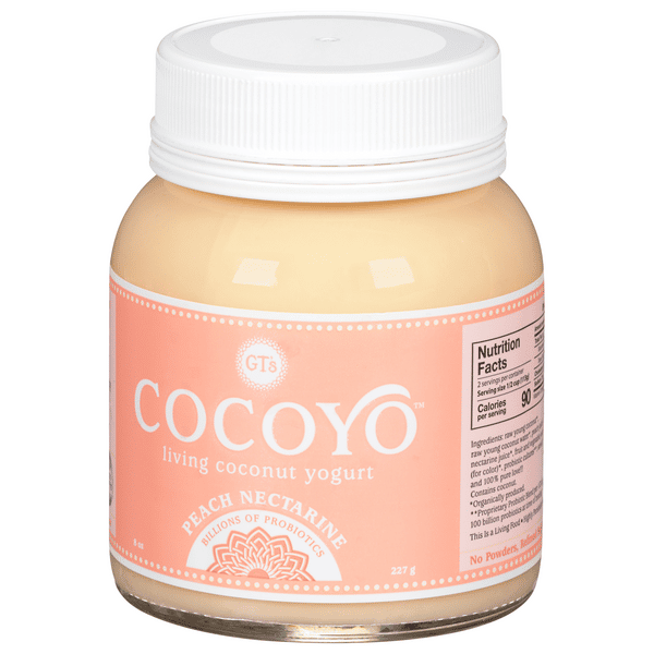 GT's CocoYo Peach Nectarine Coconut Yogurt | Hy-Vee Aisles Online