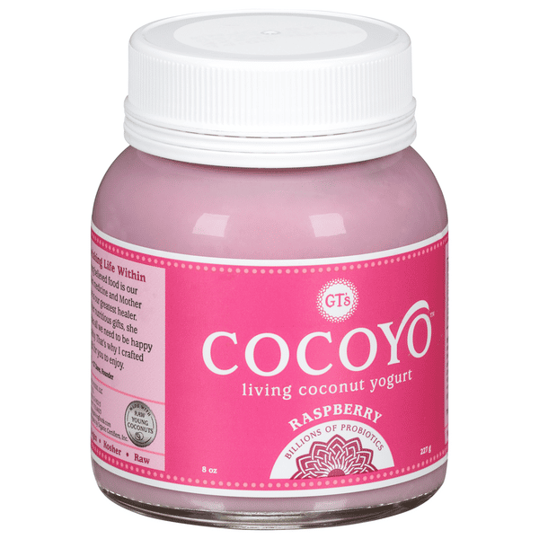 GT's CocoYo Living Coconut Yogurt, Raspberry | Hy-Vee Aisles