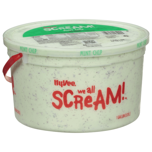 Hy-Vee We All Scream! Mint Chip Ice Cream | Hy-Vee Aisles Online
