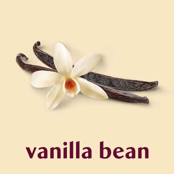 Häagen-Dazs Vanilla Bean Ice Cream | Hy-Vee Aisles Online