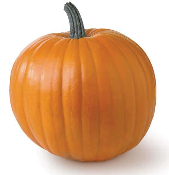 Pumpkins | Hy-Vee Aisles Online Grocery Shopping