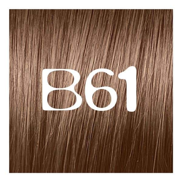 L'Oreal Paris Feria Shimmering Permanent Hair Color B61