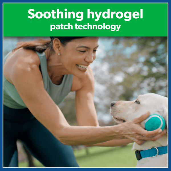 teto - pain pain pain(ライナーノーツ付き) teto - pain pain pain