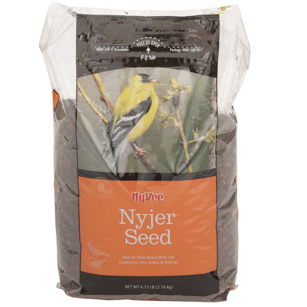 Where to Buy Nyjer Bird Seed: Top Trusted Stores Revealed