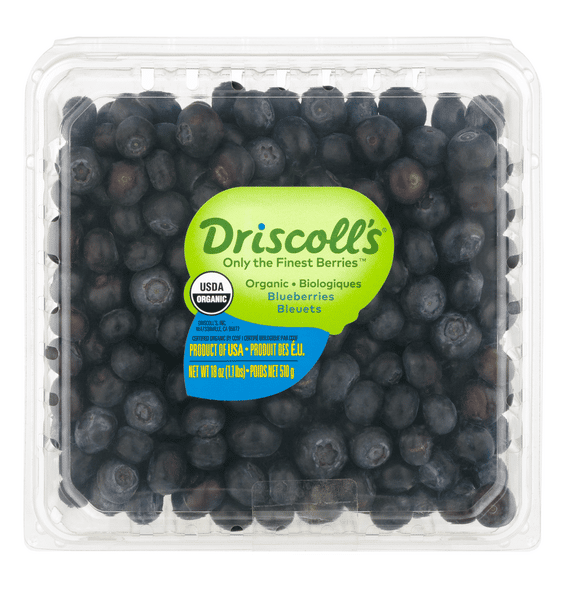 Blueberry ZXO Blueberry